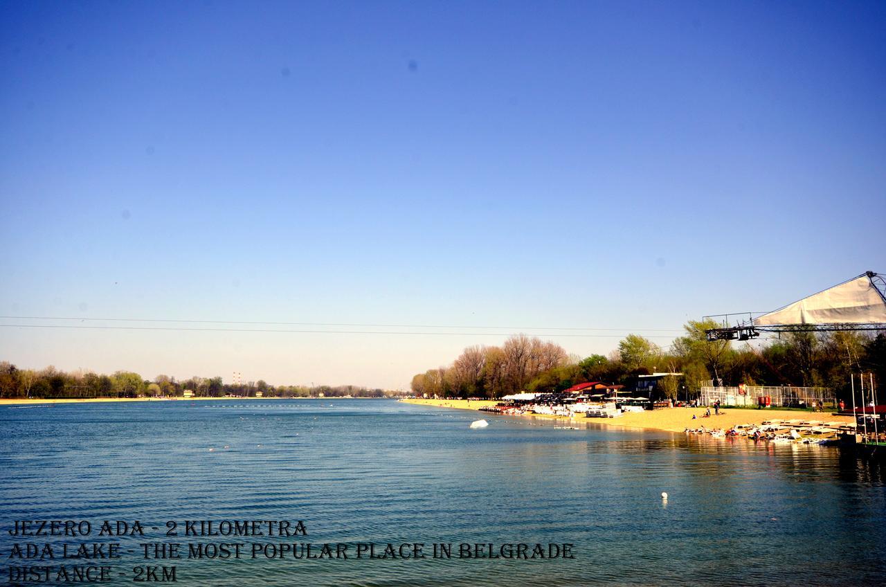 Clean&cozy Novi Belgrad
